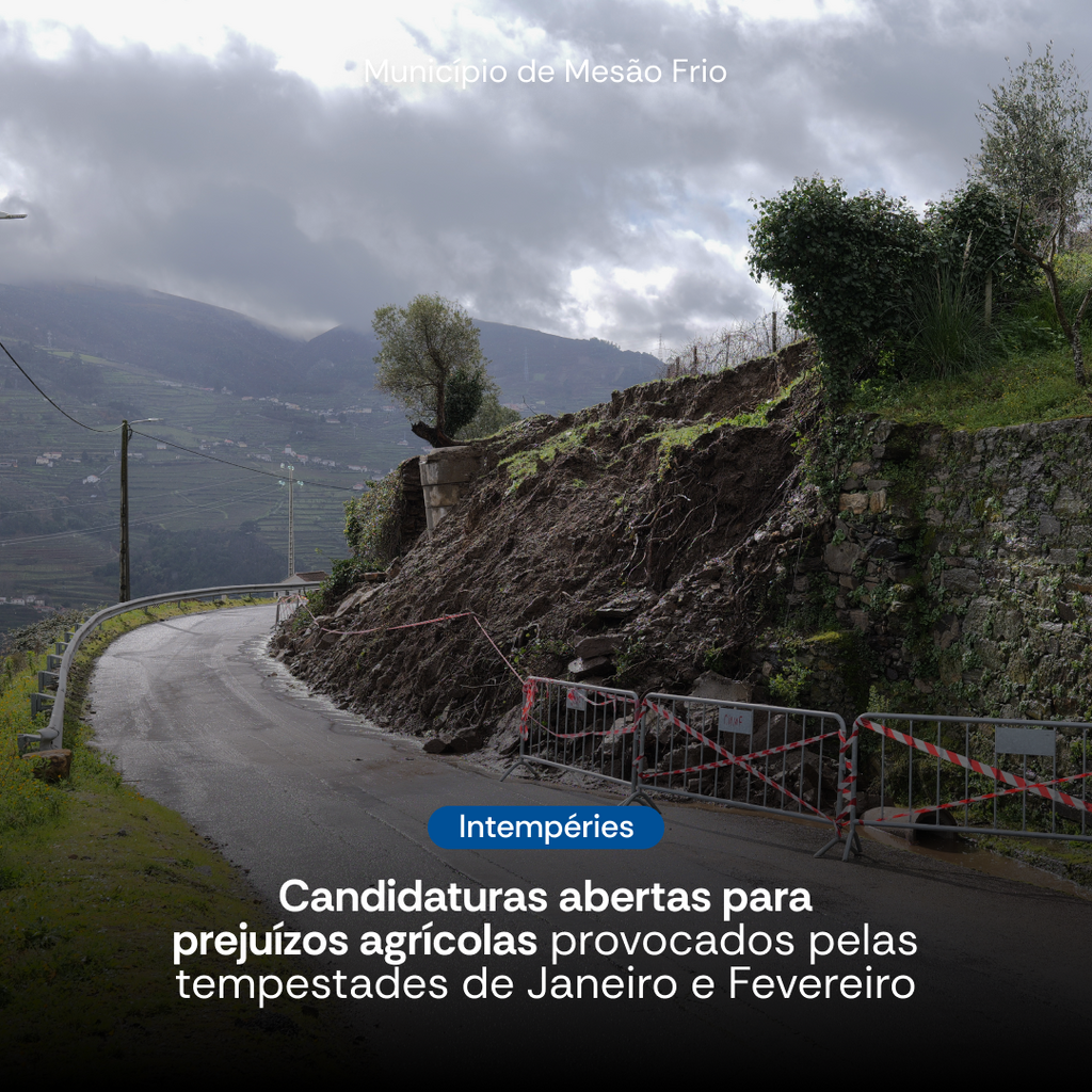 Aviso à População: Prejuízos Agrícolas das Tempestades de Janeiro e Fevereiro - Candidaturas Abertas