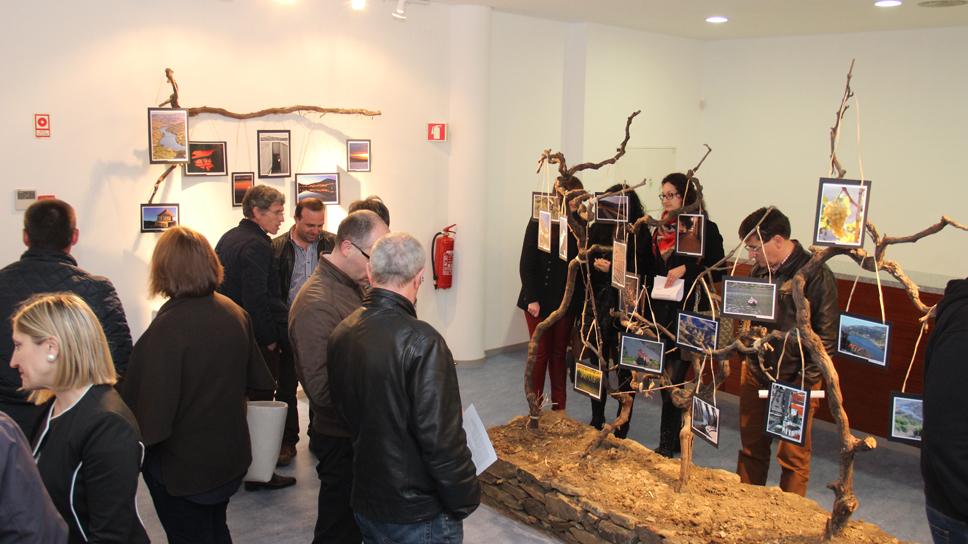 Dia Mundial da Poesia assinalado com exposição fotográfica e recital