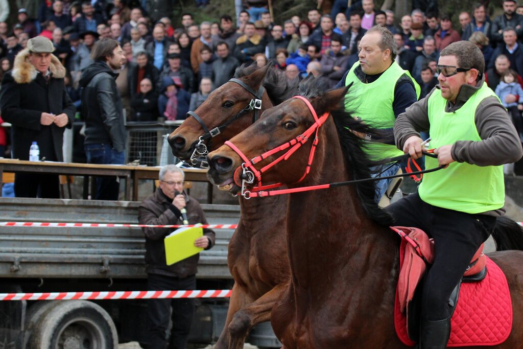 Feira dos Burros, Passeio TT, Cantares e Corrida de Cavalos na Feira de Santo André