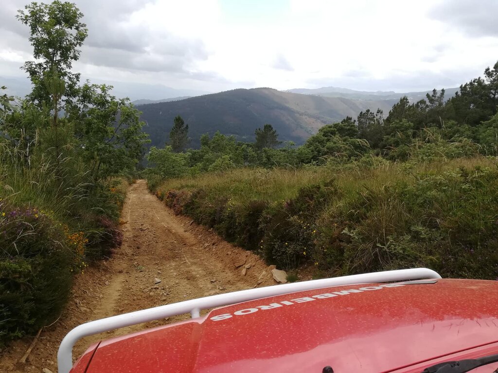 Autarquia e EIP procederam à limpeza de caminhos florestais em todo o concelho