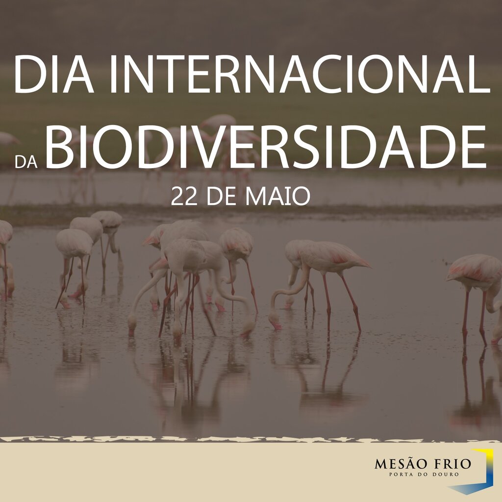 Mesão Frio assinala o Dia Internacional da Biodiversidade