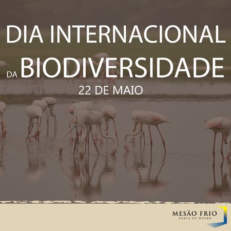 diadabiodiversidade