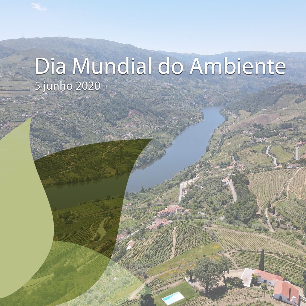 O Município de Mesão Frio assinala Dia Mundial do Ambiente