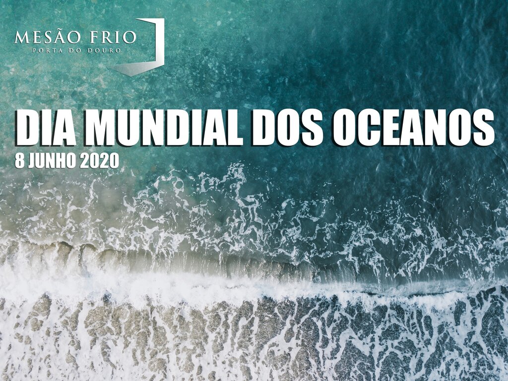 Dia Mundial dos Oceanos