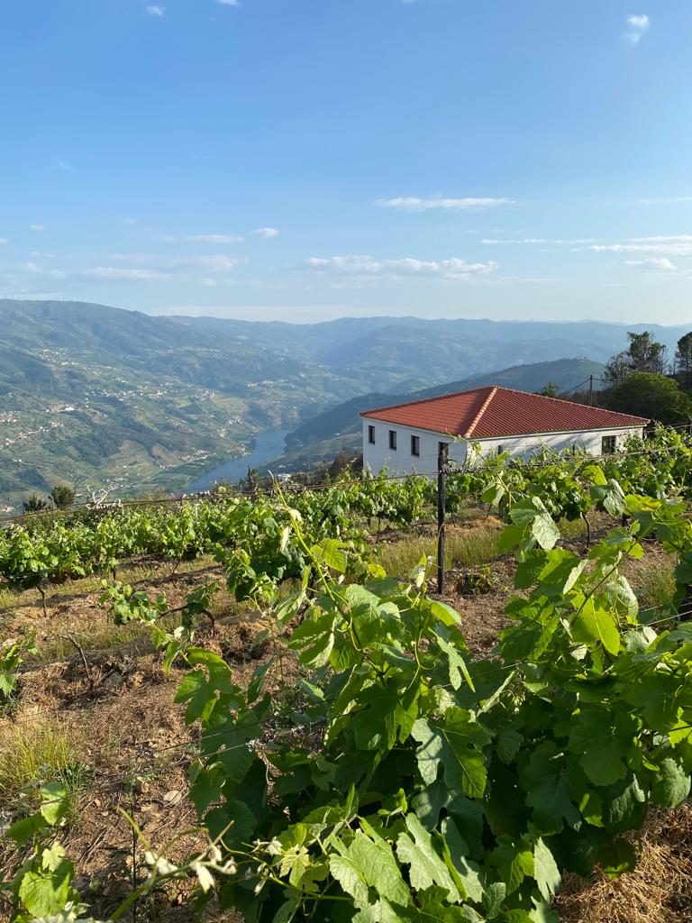 Quinta do Vianna