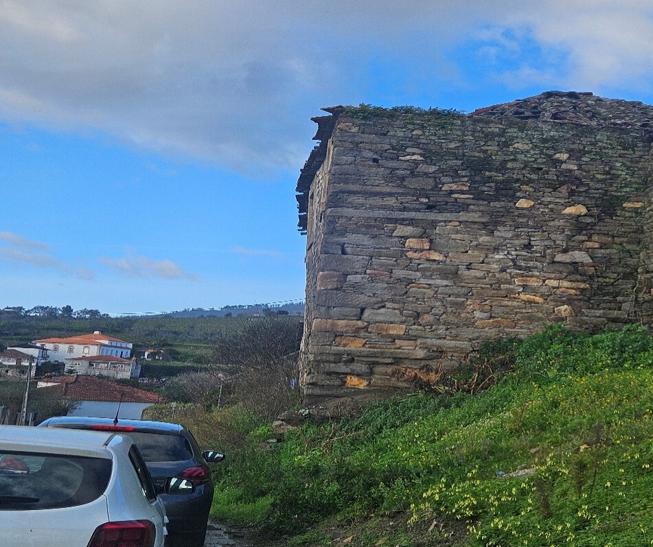 Imagem3